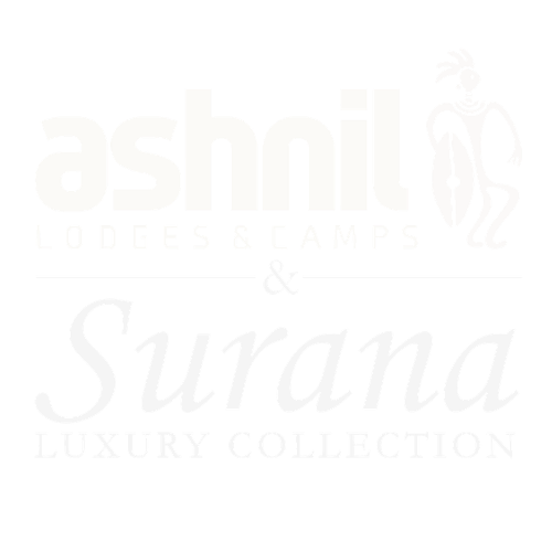 ashnil & surana logo_white