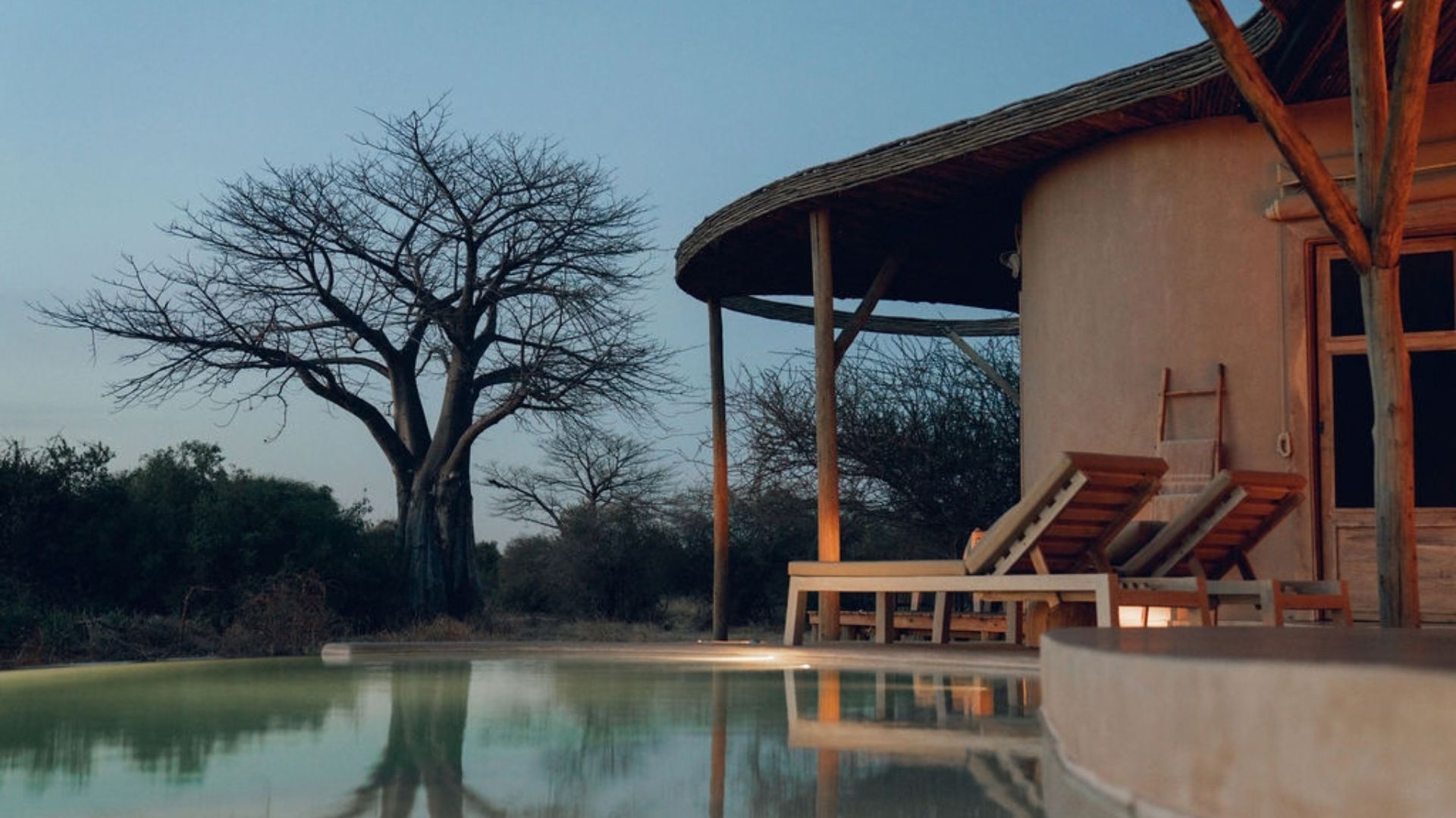 Ubuyu Banyan Tree Escape Ruaha Tanzania